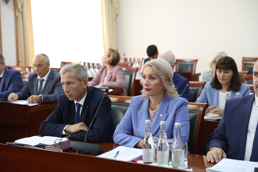 Надежда Колебанова на заседании Кабинета Министров Чувашской Республики  представила проект постановления