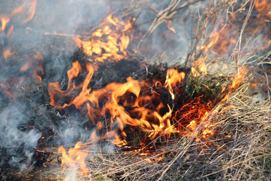 В Чувашии оперативно ликвидировали пожар на землях лесного фонда в Заволжье