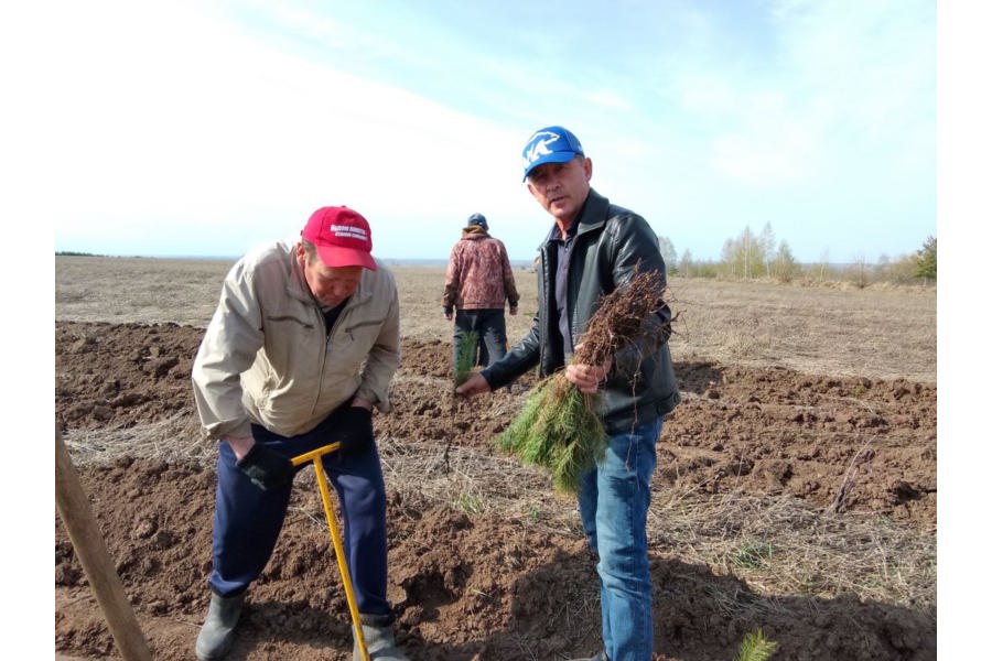 Акция «Посади дерево и сохрани его»