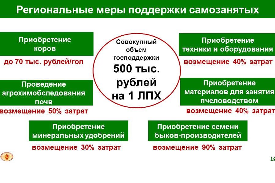 Информация о государственной поддержке самозанятых граждан, ведущих ЛПХ