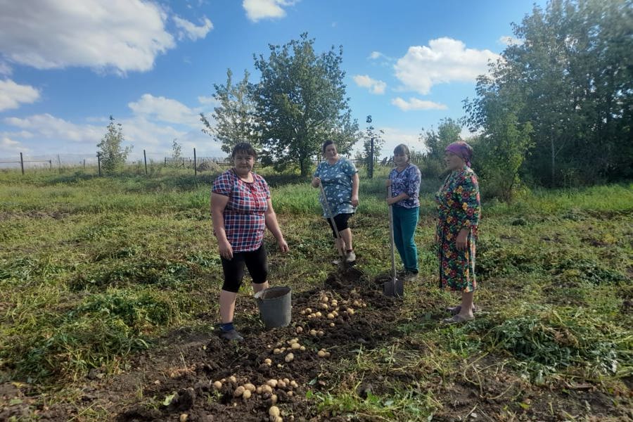 Почему дети должны помогать родителям. Как приучить ребенка помогать по дому — советы психолога