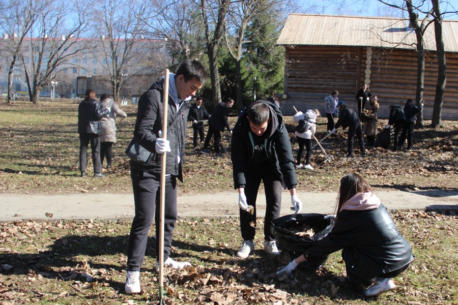 Студенты вышли на уборку сквера Чапаева