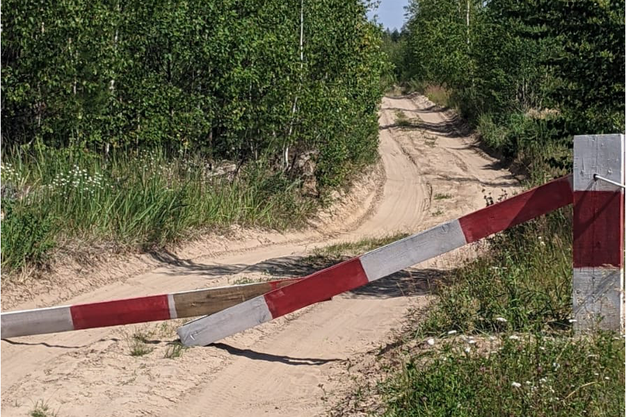 В первые дни запрета посещения лесов Чувашии выявили нарушителей