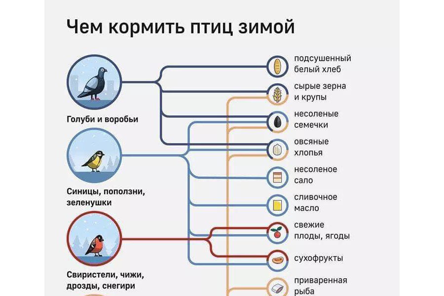 Госцентр по охране культурного наследия запускает акцию «Накормите птиц зимой»