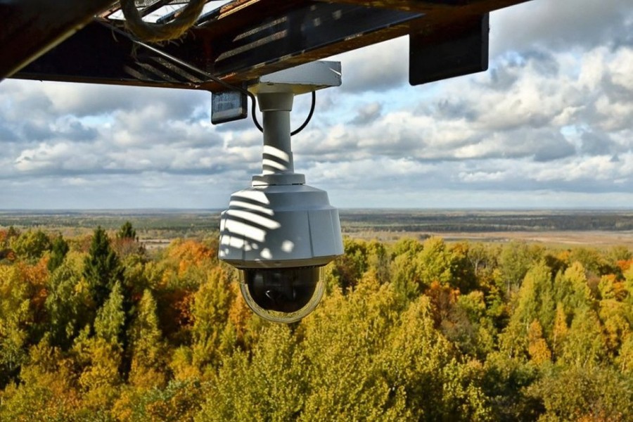 Видеокамеры – эффективные помощники в мониторинге лесных пожаров