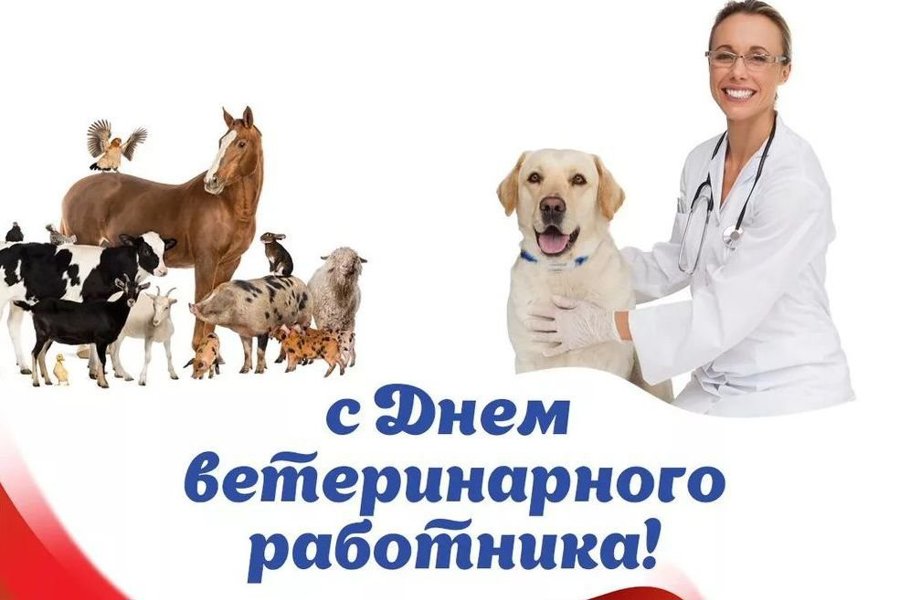 Поздравление главы Красноармейского муниципального округа  Павла Семенова с Днем ветеринарного работника