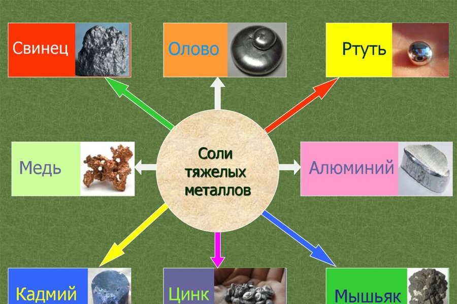 Тяжелые металлы в почве, воде, воздухе и пище