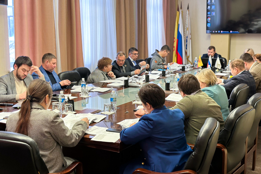Состоялось совместное заседание постоянных комиссий Чебоксарского городского Собрания депутатов по бюджету и по экономической политике и инвестициям