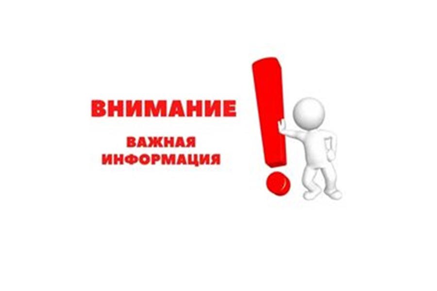 Компания внимание