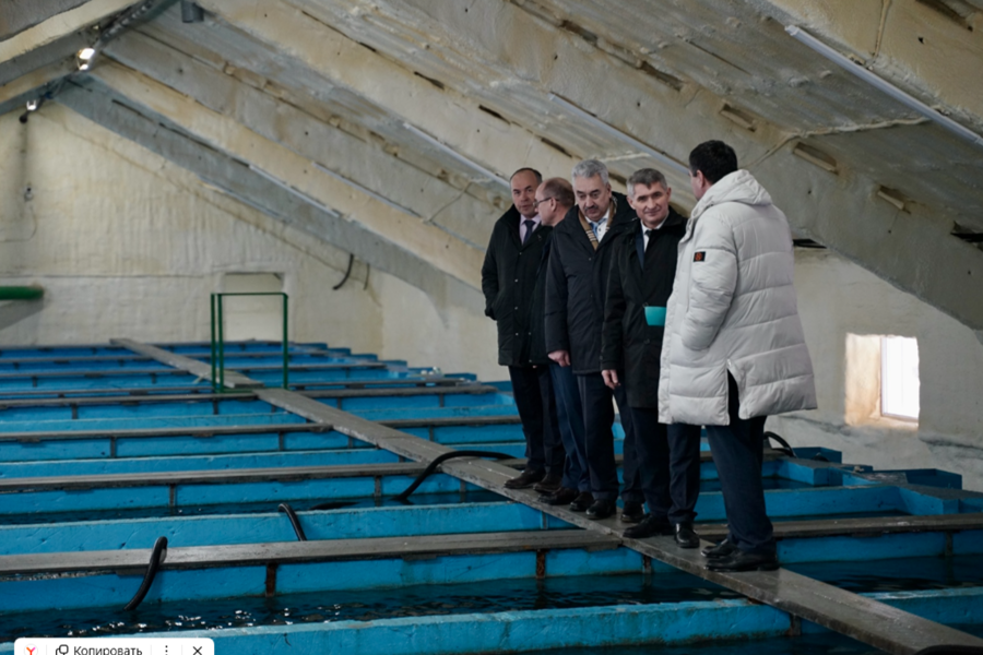 Благодаря республиканскому гранту в Мариинско-Посадском округе развивается отрасль аквакультуры