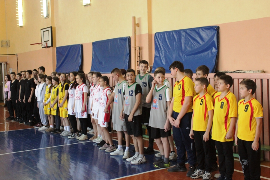 Первенство Шемуршинского округа по баскетболу  среди юношей и девушек