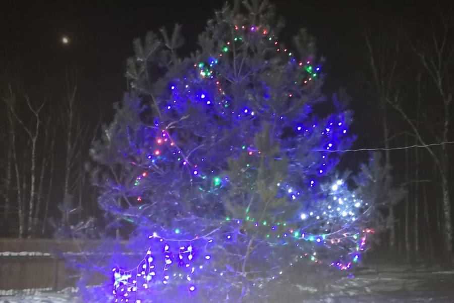 В деревне Большое Буяново установили новогоднюю елку
