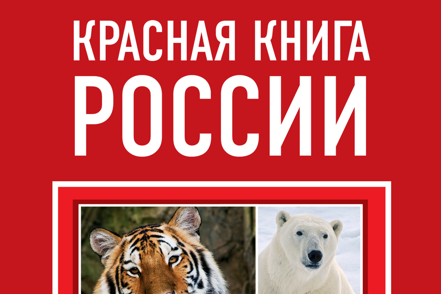 Минприроды Чувашии приглашает детей от 5 до 17 лет принять участие во Всероссийском экологическом интернет-проекте «Красная книга руками детей!»
