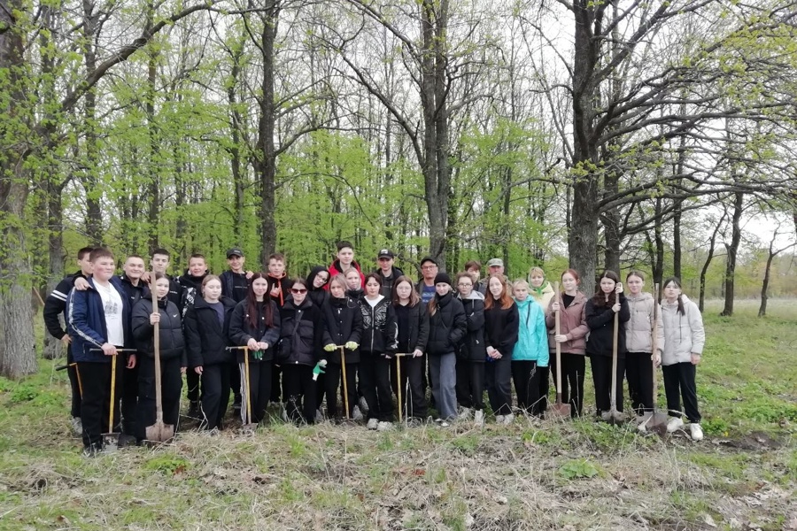 Ученики Урмарской школы принимают активное участие в акции «Сохраним лес»