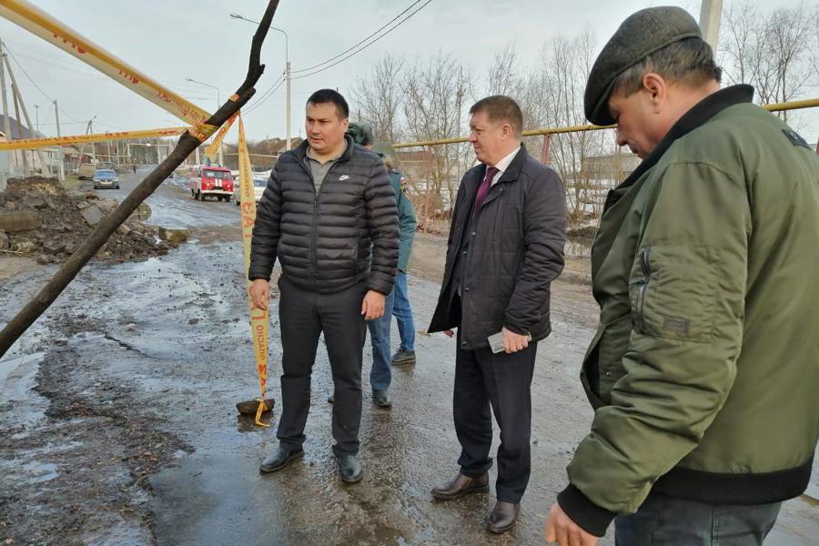 Первые «ласточки» весны