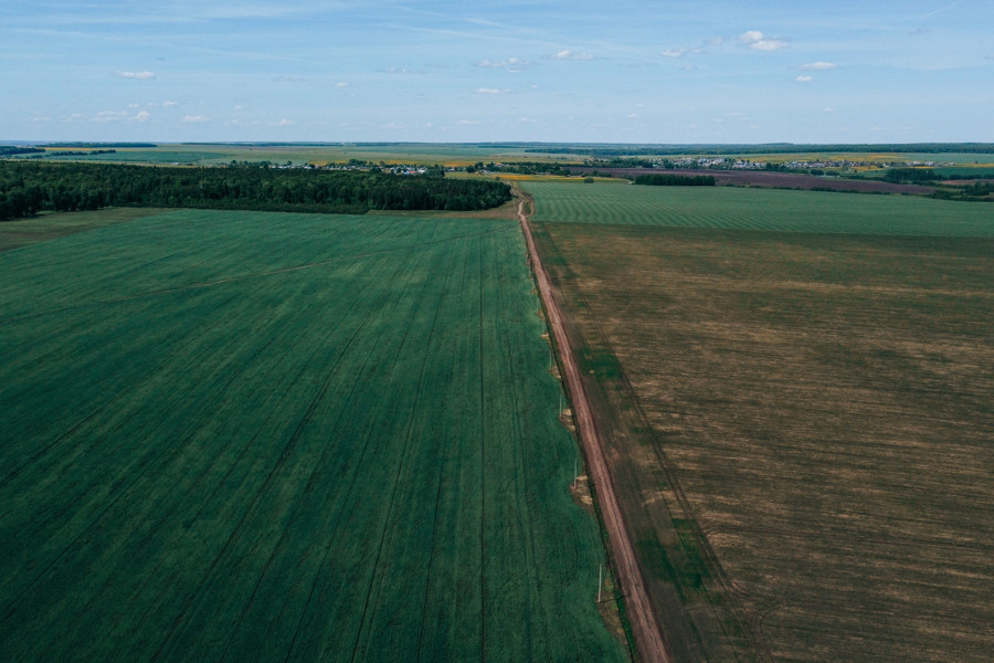 Почти 12 тысяч гектаров сельхозземель в Чувашии планируется ввести в оборот в 2024 году