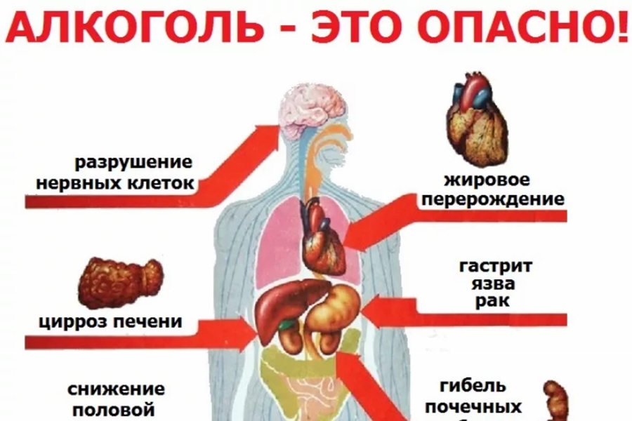 Алкоголь вреден для сердца: правда, которую нельзя игнорировать