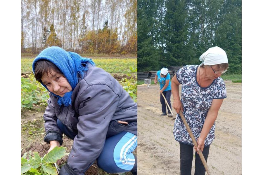 «Лесные волонтеры» Раиса Ортикова и Наталья Фролова уже более 10 лет трудятся в Алгашинском питомнике