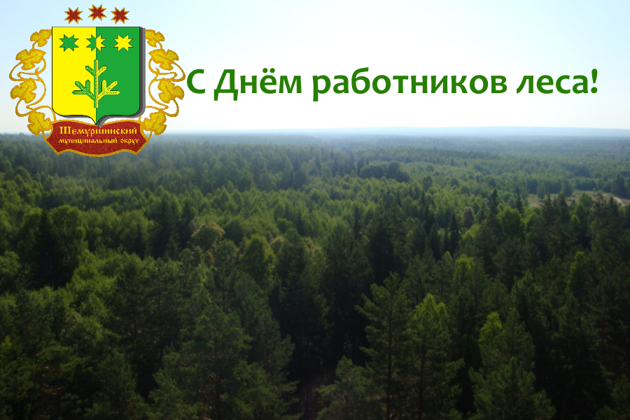 Поздравление главы Шемуршинского муниципального округа А.В. Чамеева с Днём работников леса