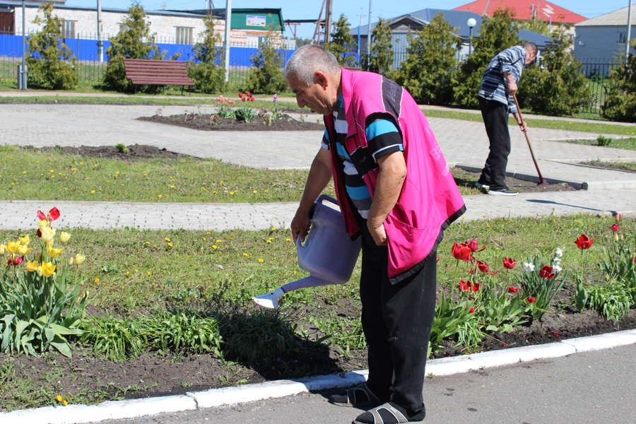 Работа в саду - полезное занятие для пожилых