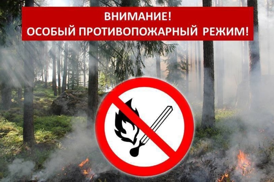 С 10 апреля на территории Мариинско-Посадского округа вводится особый противопожарный режим