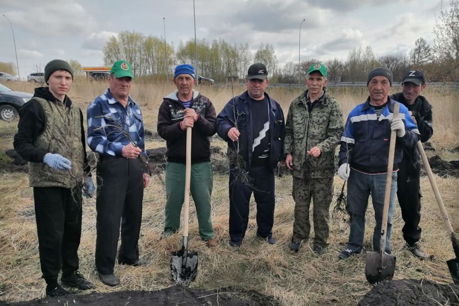 Вăрçă ветеранĕсене асăнса