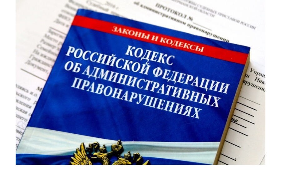 Административная ответственность родителей как средство профилактики детского дорожно-транспортного травматизма