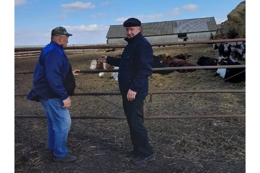 Проверка готовности животноводческой отрасли Шемуршинского муниципального округа к зимне - стойловому периоду