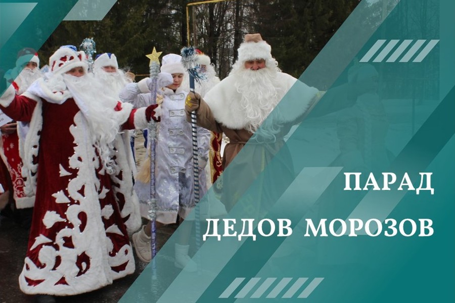 Парад Дедов Морозов и Снегурочек в Шумерлинском муниципальном округе