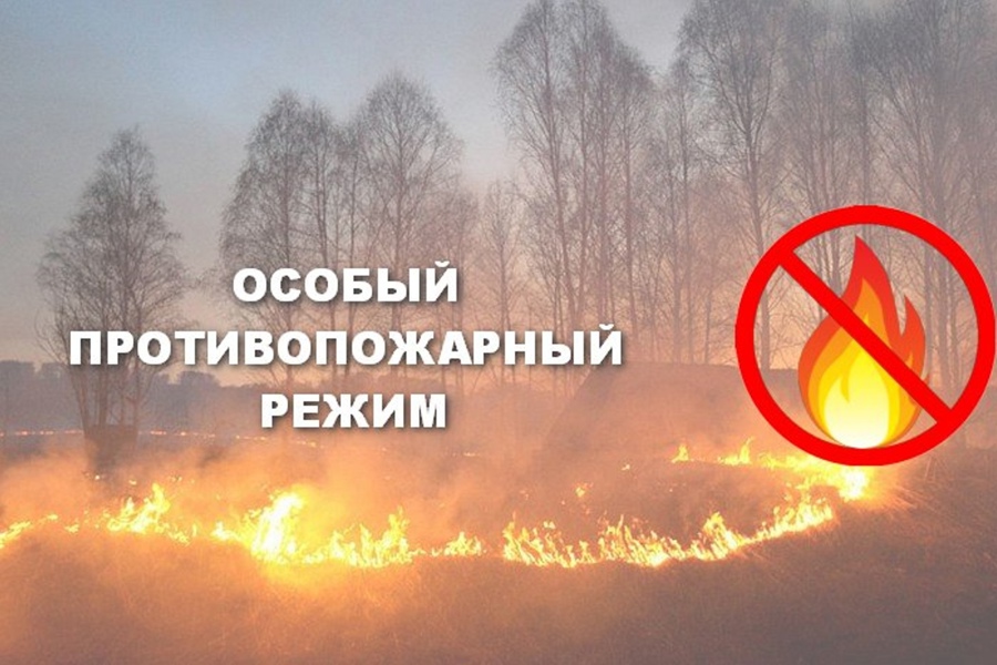 В Чебоксарах действует особый противопожарный режим