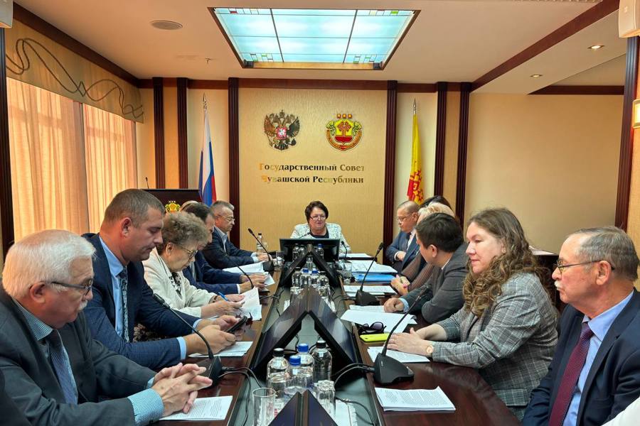 Заседание Экспертного совета Государственного Совета