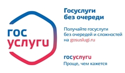 Госуслуги без очереди
