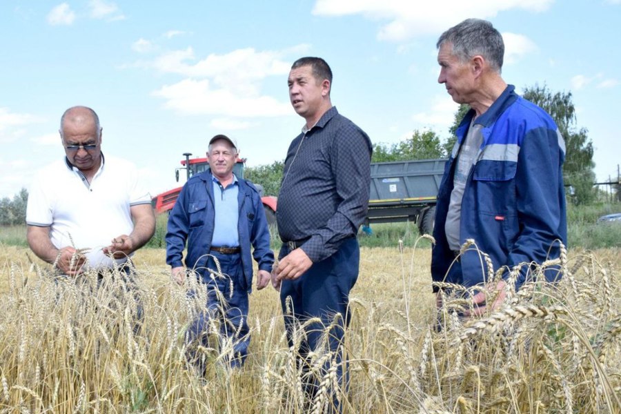 Поздравление главы муниципального округа Ивана Михопарова Днем работника сельского хозяйства и перерабатывающей промышленности