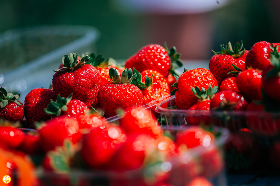 За 15 лет самообеспеченность населения Чувашии плодово-ягодными культурами увеличилась почти в 3 раза
