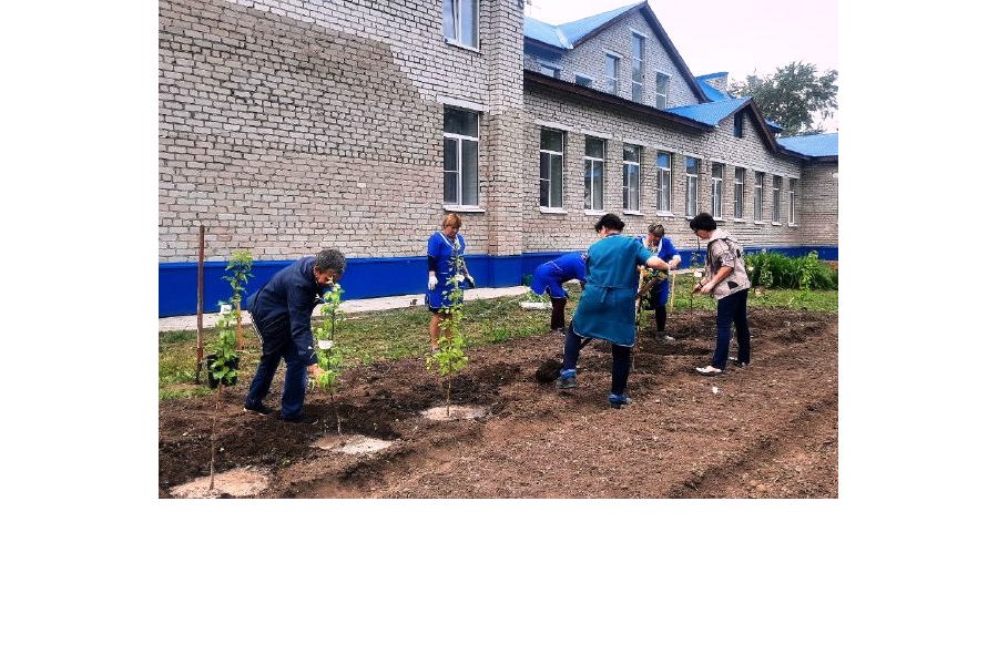 Волонтеры Шумерлинского муниципального округа посадили плодовые деревья на территории социального учреждения