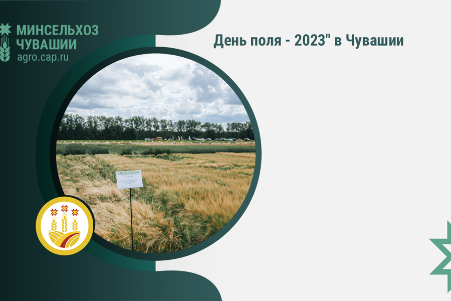 День поля - 2023» в Чувашии