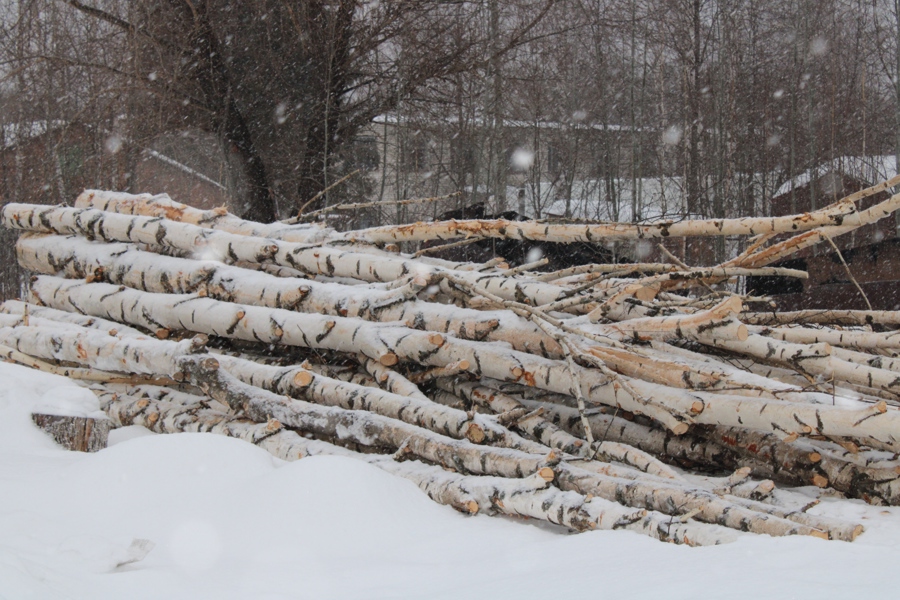 В Алатыре на ESG-принципах организовано производство глубокой переработки древесины