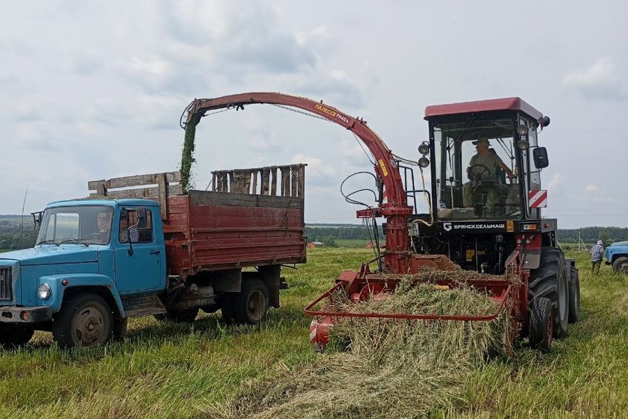 «Красный партизан» хуçалăхра утă хатĕрлеççĕ, сенаж хываççĕ