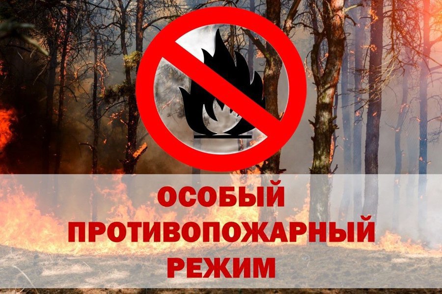 Внимание! С 10 апреля 2024 года вводится особый противопожарный режим