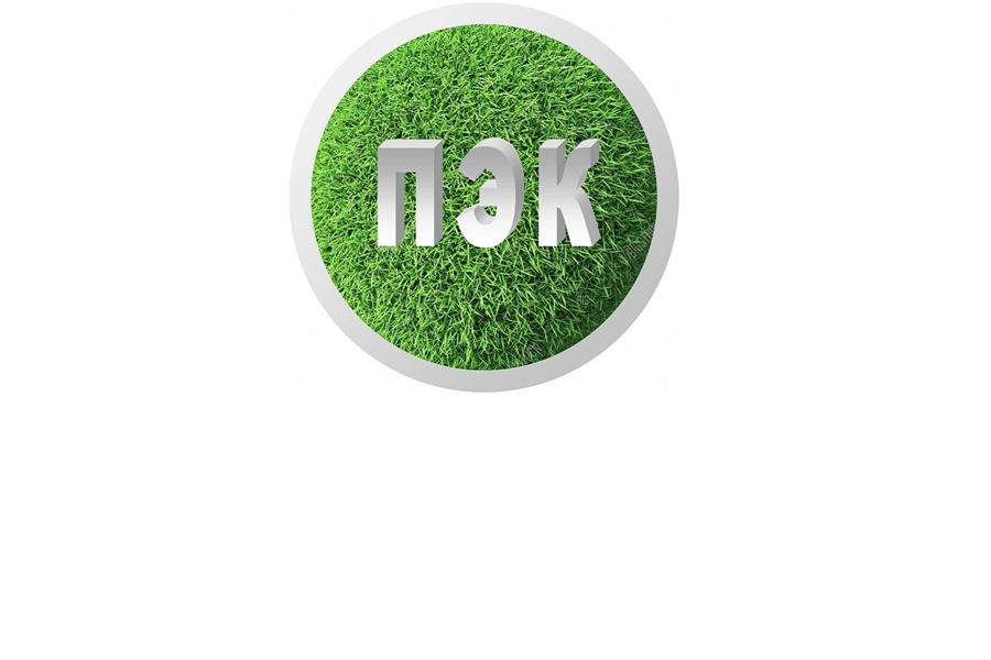 Напоминаем, что отчет ПЭК необходимо предоставить до 25 марта 2025 года