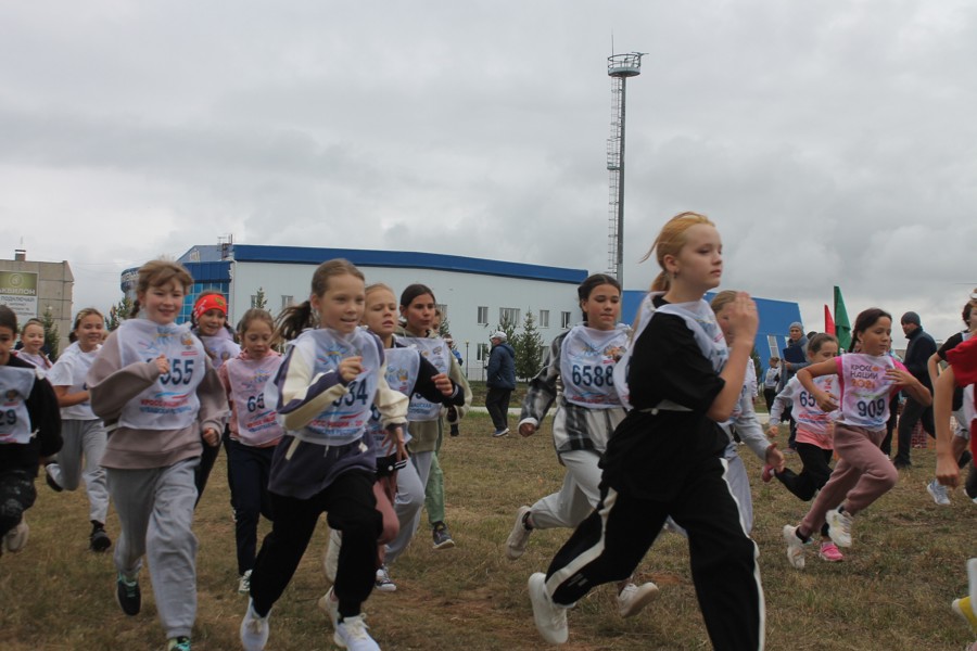 В Козловском муниципальном округе состоялось первенство по осеннему легкоатлетическому кроссу в зачет Спартакиады школьников