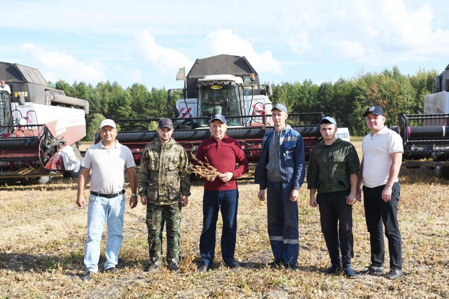 В Батыревском муниципальном округе успешно  завершилась  уборка зерновых культур, аграрии приступили к уборке  картофеля.