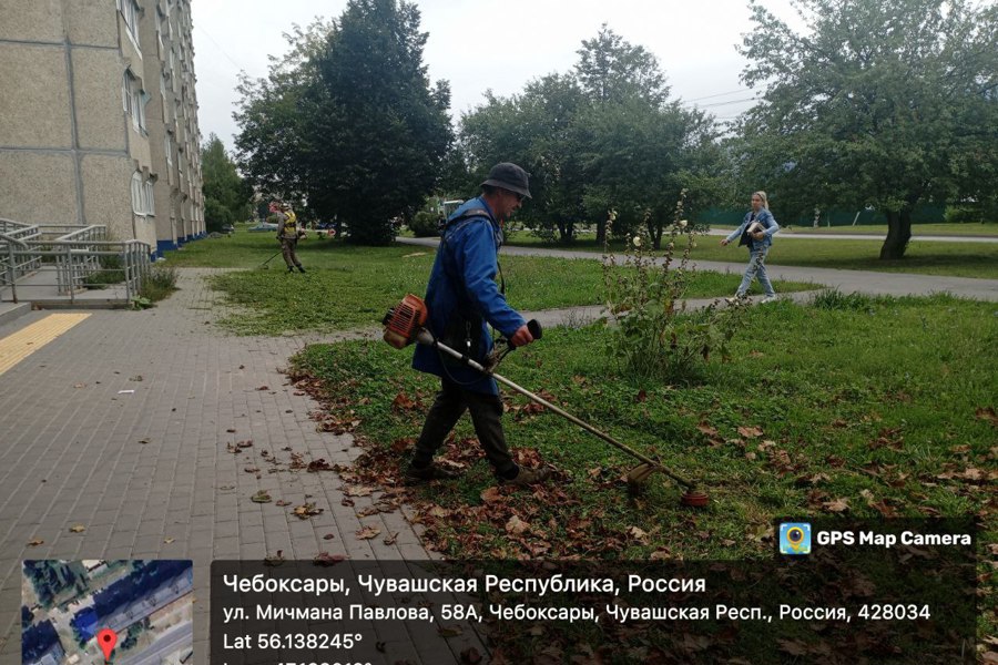 Работы по покосу продолжаются во всех трех районах города