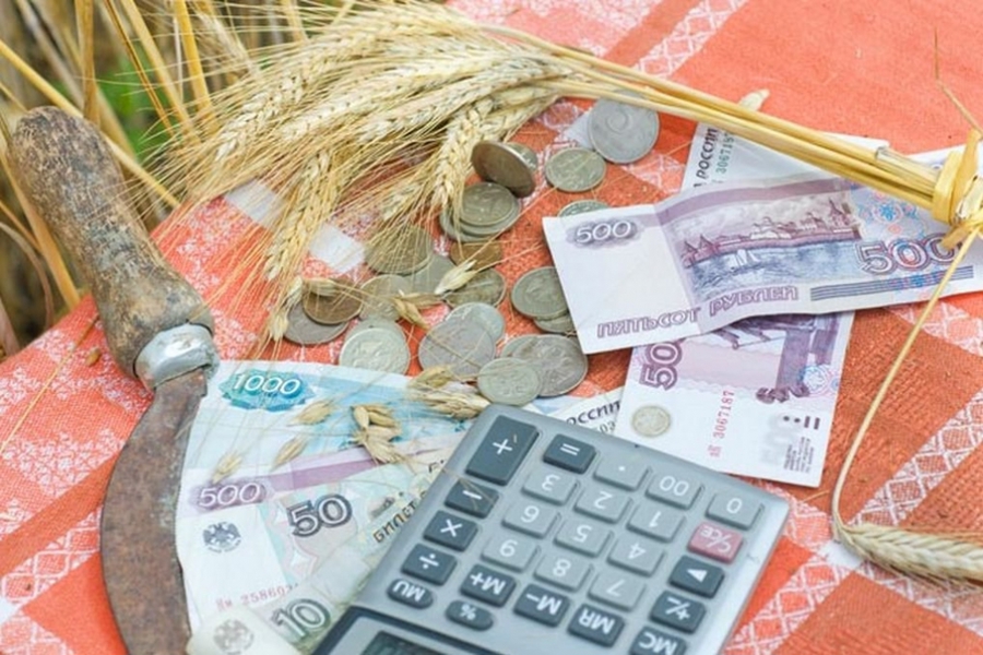 Ежемесячная компенсация по оплате ЖКУ направлена 13,7 тыс. «сельским специалистам»