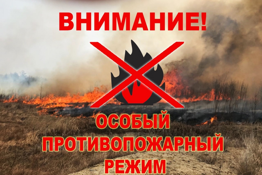 С 10 апреля установлен особый противопожарный режим