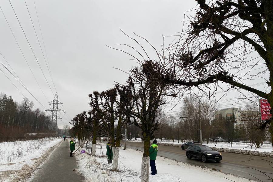 В Чебоксарах продолжается обрезка деревьев и вывоз снега