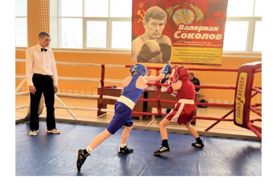 Прошел II республиканский турнир  по боксу  на призы  Олимпийского чемпиона В. Соколова