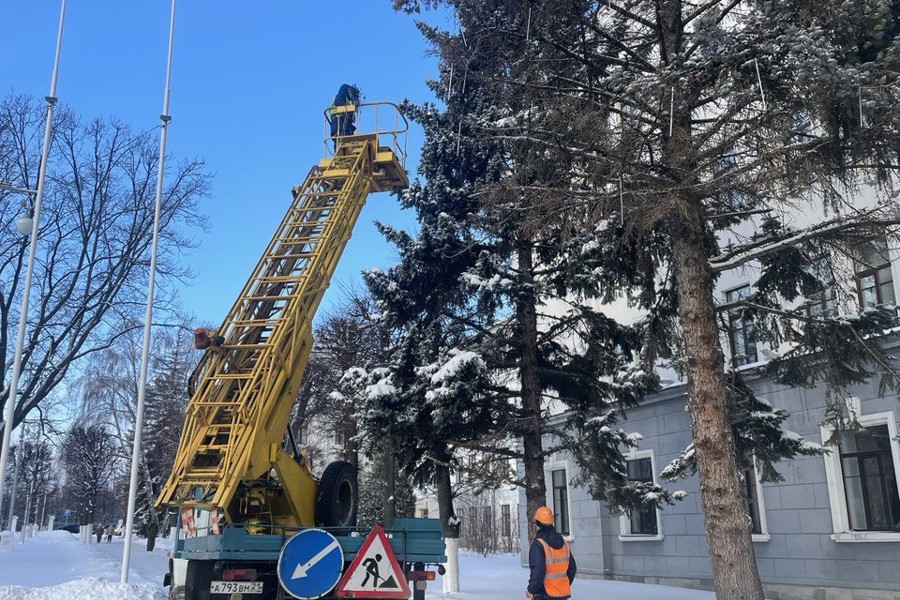 200 деревьев в центральной части оформлены световой иллюминацией