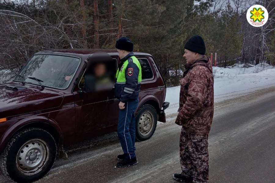 В рамках акции «Не губите ёлочку» проходят рейды в республике