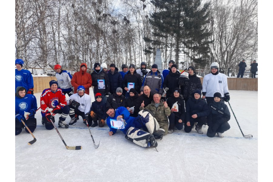 В д. Большое Буяново состоялся традиционный хоккейный турнир, посвященный памяти старшего лейтенанта Владислава Митрофанова